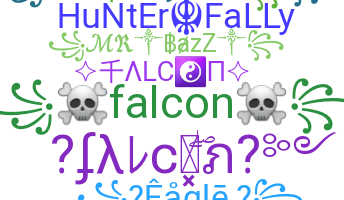 별명 - Falcon