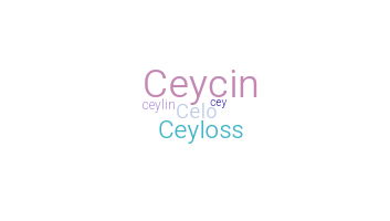 별명 - Ceylin