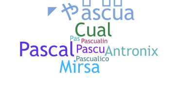 별명 - Pascual