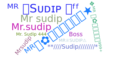 별명 - MRSUDIP