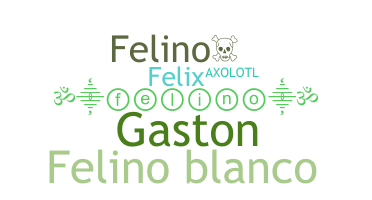 별명 - Felino