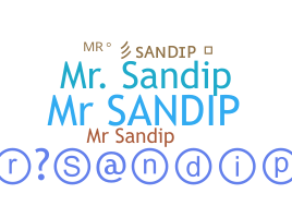 별명 - MrSandip