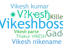 별명 - Vikesh