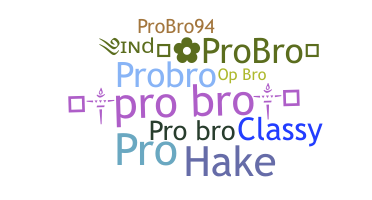 별명 - ProBro