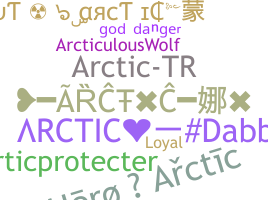 별명 - Arctic
