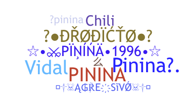 별명 - Pinina