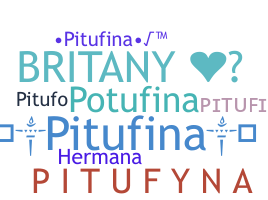 별명 - pitufina
