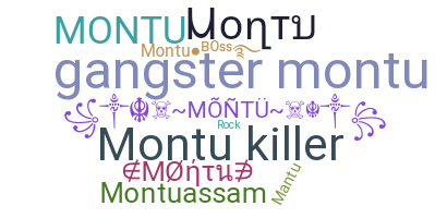 별명 - Montu