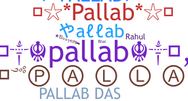 별명 - Pallab