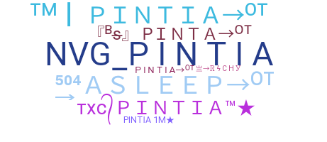 별명 - Pintia