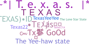 별명 - Texas