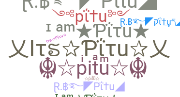 별명 - pitu