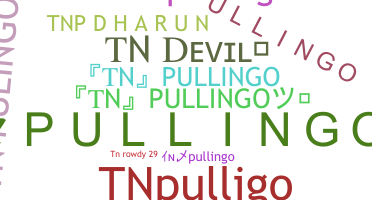 별명 - TNpullingo