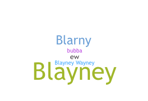 별명 - Blayne