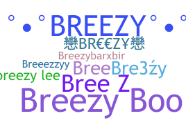 별명 - Breezy