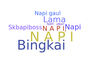 별명 - napi