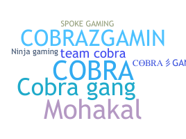 별명 - CobraGang
