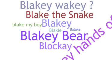 별명 - Blake