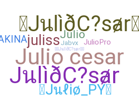 별명 - JulioCesar