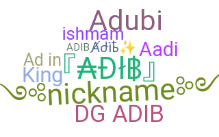 별명 - Adib