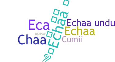 별명 - echaa
