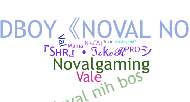 별명 - Noval