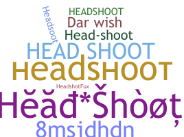 별명 - Headshoot