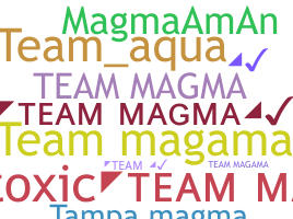 별명 - teammagma