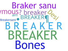 별명 - Breaker