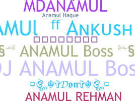 별명 - Anamul