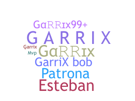 별명 - Garrix