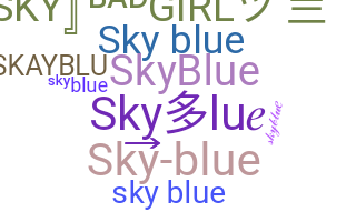 별명 - skyblue