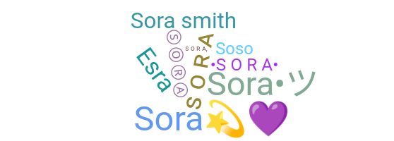 별명 - Sora