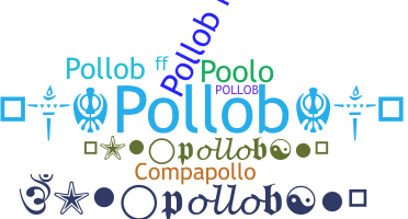별명 - pollob