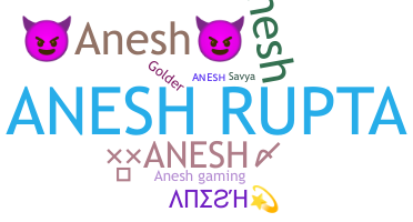 별명 - Anesh