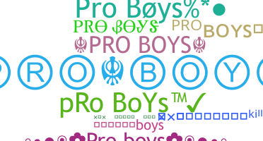 별명 - ProBoys