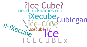별명 - icecube
