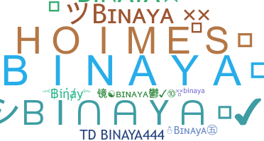 별명 - Binaya