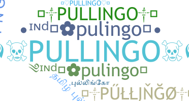 별명 - Pullingo
