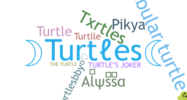 별명 - Turtles