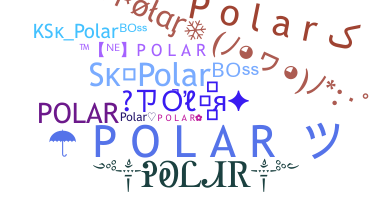 별명 - Polar