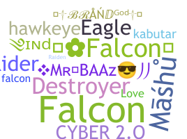 별명 - Falcons