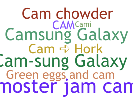 별명 - Cam