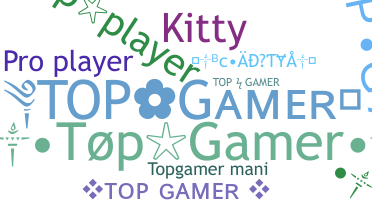 별명 - topgamer