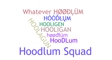 별명 - hoodlum