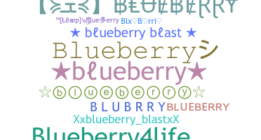 별명 - blueberry